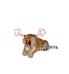 Animal789 V2（個別スタンプ：15）