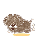 トイプーのクッキー夏編 毎日癒されるぅ（個別スタンプ：40）