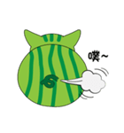 watermelon kitten（個別スタンプ：6）