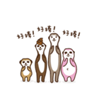 Meeka ＆ meerkat friends（個別スタンプ：3）