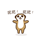 Meeka ＆ meerkat friends（個別スタンプ：12）