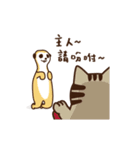 Meeka ＆ meerkat friends（個別スタンプ：13）