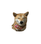 柴犬ナナの 私も使ってよ！3.5.8（個別スタンプ：7）