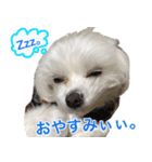 てんてんテンちゃん（個別スタンプ：2）