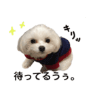 てんてんテンちゃん（個別スタンプ：4）