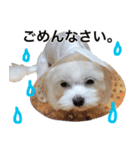 てんてんテンちゃん（個別スタンプ：6）