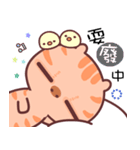 A cat it is unhappy（個別スタンプ：22）