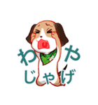 カリカリごはんで北条弁なんよ！（個別スタンプ：20）