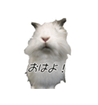 社長とボスともふにゃん（個別スタンプ：4）