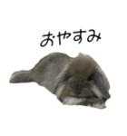 社長とボスともふにゃん（個別スタンプ：5）