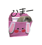 社長とボスともふにゃん（個別スタンプ：8）