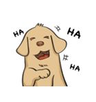 Yim The Dog（個別スタンプ：2）