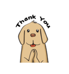 Yim The Dog（個別スタンプ：3）