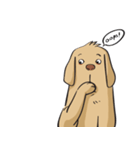 Yim The Dog（個別スタンプ：4）