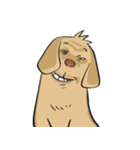 Yim The Dog（個別スタンプ：7）