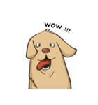 Yim The Dog（個別スタンプ：8）
