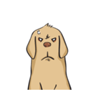 Yim The Dog（個別スタンプ：11）