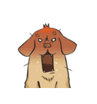 Yim The Dog（個別スタンプ：12）