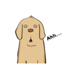 Yim The Dog（個別スタンプ：13）