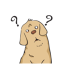 Yim The Dog（個別スタンプ：16）