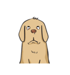 Yim The Dog（個別スタンプ：17）
