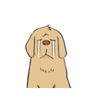 Yim The Dog（個別スタンプ：18）
