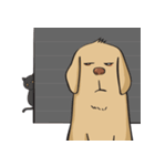 Yim The Dog（個別スタンプ：25）