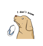 Yim The Dog（個別スタンプ：26）