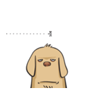 Yim The Dog（個別スタンプ：27）
