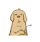 Yim The Dog（個別スタンプ：30）