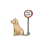 Yim The Dog（個別スタンプ：33）