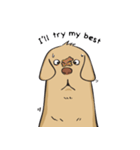 Yim The Dog（個別スタンプ：36）