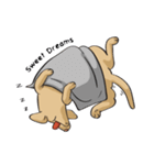 Yim The Dog（個別スタンプ：39）