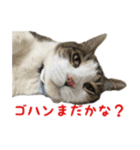 デイ＆サム（個別スタンプ：7）