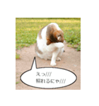 Cats Daily Life（個別スタンプ：5）