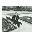 Mm Reza（個別スタンプ：5）