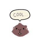 talking guinea pigs！（個別スタンプ：16）