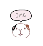 talking guinea pigs！（個別スタンプ：21）