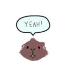 talking guinea pigs！（個別スタンプ：32）