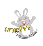 "Rabbit Bigeye" 555（個別スタンプ：5）