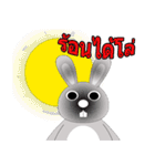 "Rabbit Bigeye" 555（個別スタンプ：29）