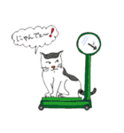 A cute cat, Ron（個別スタンプ：1）