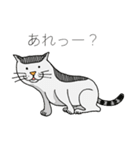 A cute cat, Ron（個別スタンプ：4）