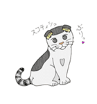 A cute cat, Ron（個別スタンプ：6）