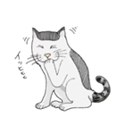A cute cat, Ron（個別スタンプ：13）