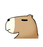 Fat Capybara and Rock bird（個別スタンプ：2）