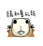 Fat Capybara and Rock bird（個別スタンプ：5）