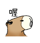 Fat Capybara and Rock bird（個別スタンプ：30）