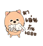 Cute Pom-Pom（個別スタンプ：1）