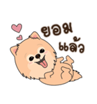Cute Pom-Pom（個別スタンプ：6）
